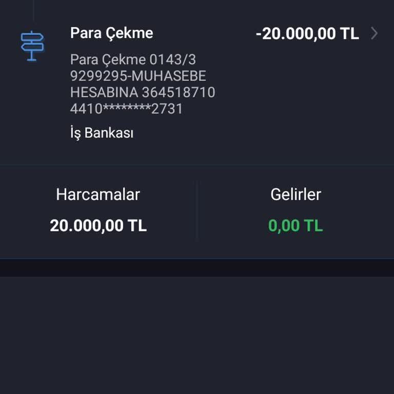 Nays Muhasebe Hesabına Gitmiş Param Kullanamıyorum