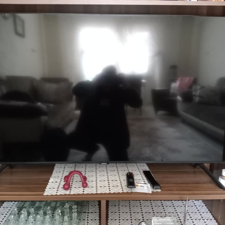 Samsung TU8000 Kendi Kendine Açılıp Kapanıyor