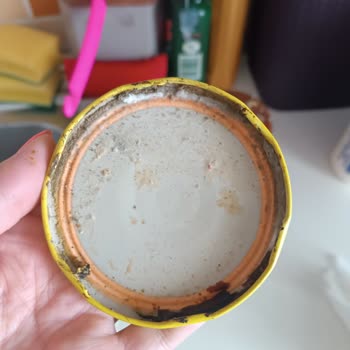 Olca Marka Salça Küf İçinde