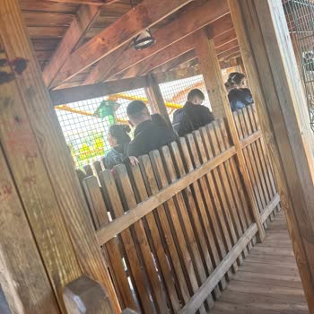 Vialand Tema Park Aile Sırası Ayrı Yerde Olmalı
