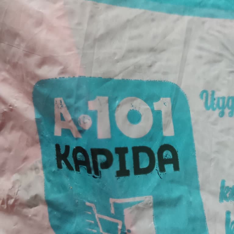 A. 101 Hadi