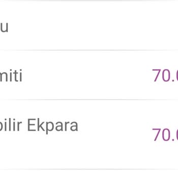 Enpara Kredi Kartı Limit Arttırım Talebimin Sürekli Reddedilmesi