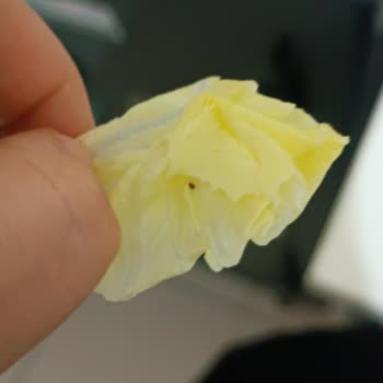 Çiğköfteci Ömer Usta Böcekli Çiğ Köfte