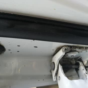 Citroen C Elysee Pas Ve Boya Kalkması