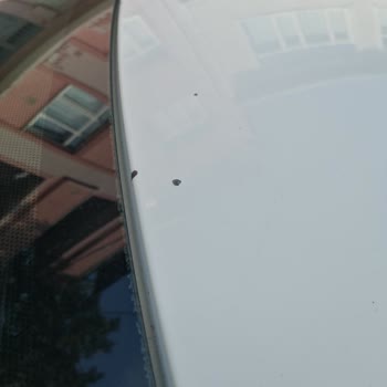 Citroen C Elysee Pas Ve Boya Kalkması