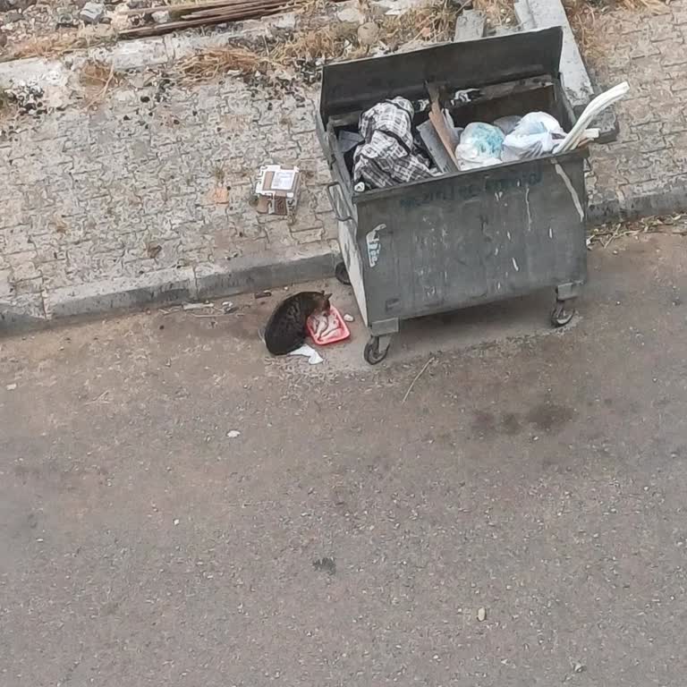 Çetinkaya Kargıpınarı Şubesi Bozuk Ürün