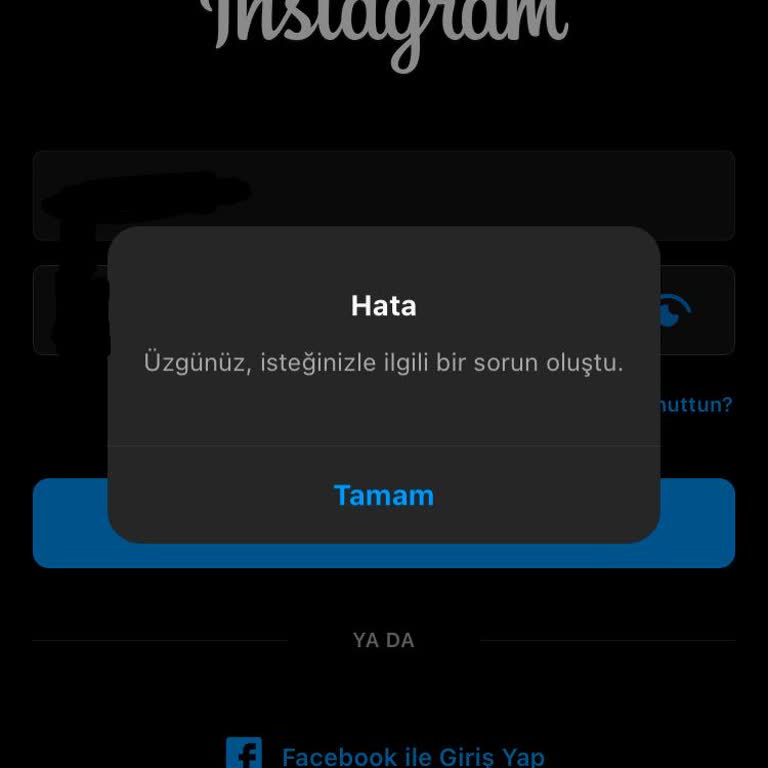Instagram Hesabıma Erişim Sağlayamıyorum
