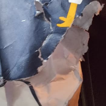 Doyuyo! İçerik, Paketleme Ve Taşıma Hepsi Başarısız