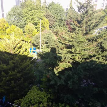 Hadımköy TOKİ Site Yönetiminin İlgisizliği