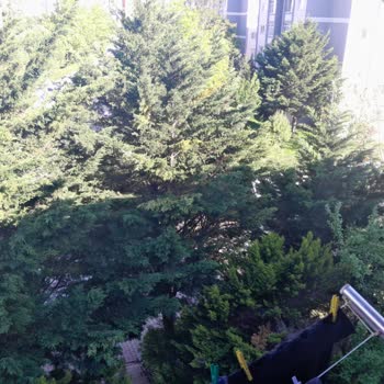 Hadımköy TOKİ Site Yönetiminin İlgisizliği