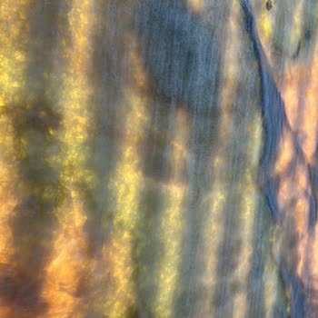 Oğuzhan Temizlik Kepez (07oguzhantemizlik.com) Antalya'da Bir Temizlik Firmasının Hizmet Kalitesi Şikayeti