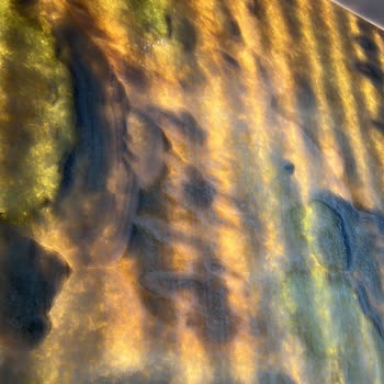 Oğuzhan Temizlik Kepez (07oguzhantemizlik.com) Antalya'da Bir Temizlik Firmasının Hizmet Kalitesi Şikayeti