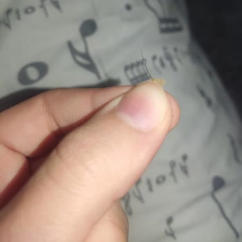 BİM Osmanoğlu Tatlısından Çıkan Kıl