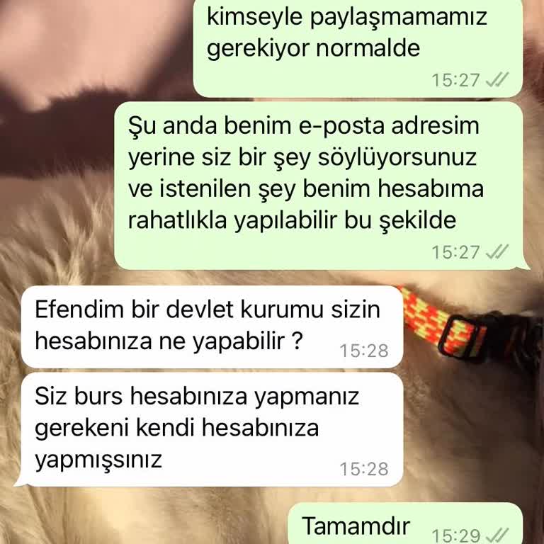 Eğitim Gönüllüleri Vakfı (Burs Başvuru) Eğitim Gönüllüleri Vakfı Burs Yalanı