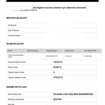 Elekse Ödeme Kuruluşu Online Ödeme Sistemi Üzerinden Yaşanan Mağduriyet