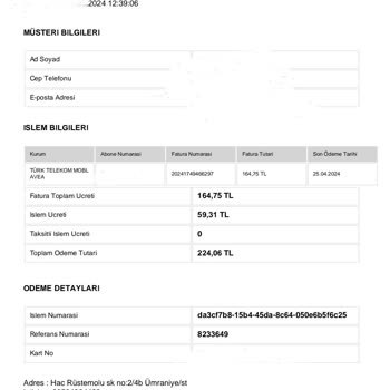 Elekse Ödeme Kuruluşu Online Ödeme Sistemi Üzerinden Yaşanan Mağduriyet