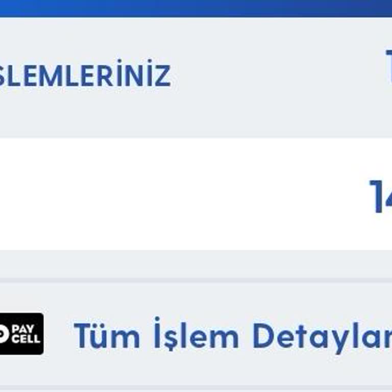 Vizyon Elektronik Para Faturama Yansıt İle Para Çekmiş