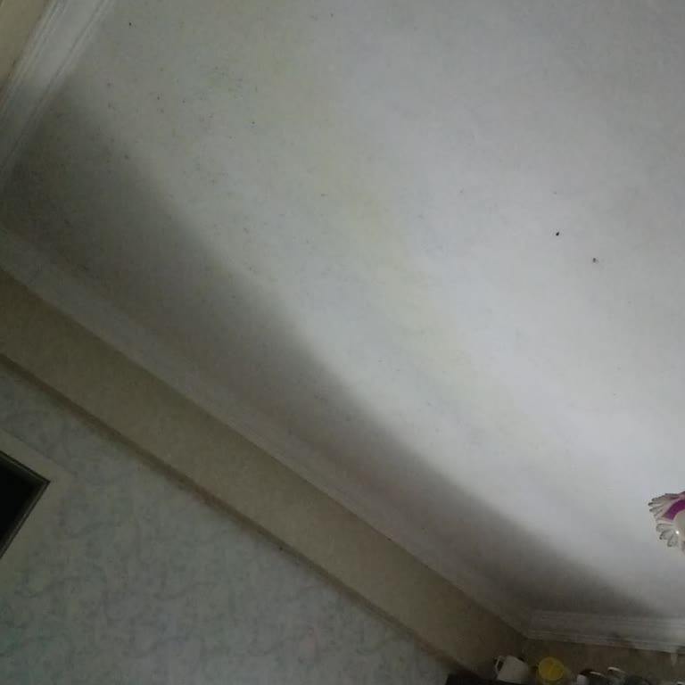 Altınözü Belediyesi Elektrik Su Sorunu