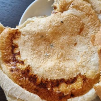 Hamurdan Migros Küflü Hamburger Ekmeği