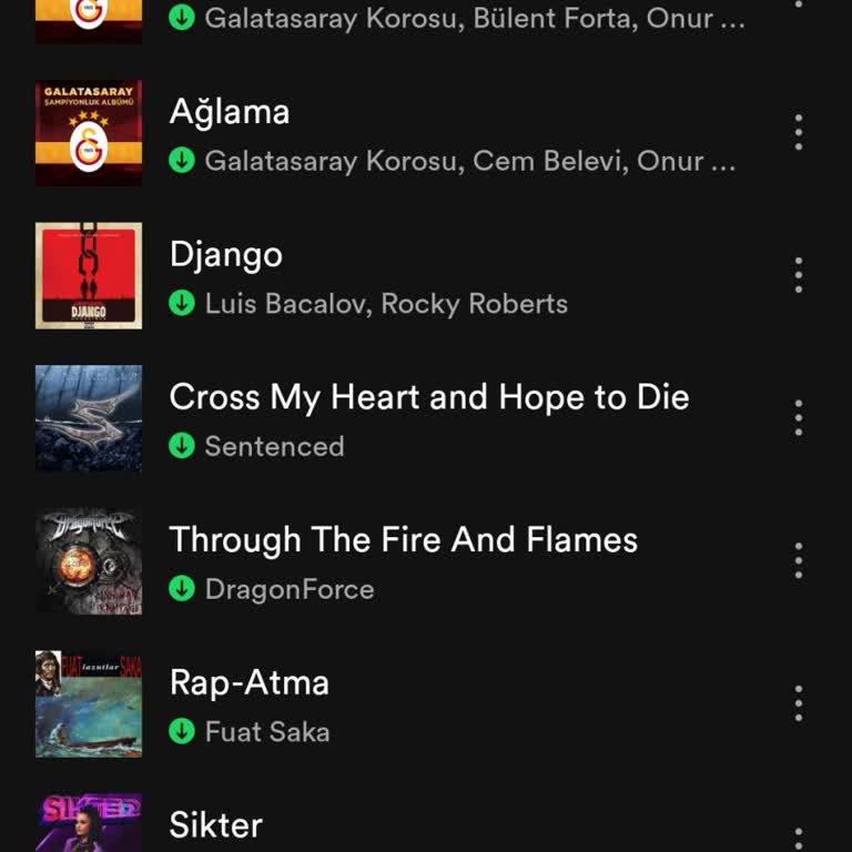 Spotify Müzik İçin Alt Tarafta Olan Parça Kayboldu Gelmezse Sorun Olur