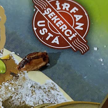 Erbaş Şekerleme İçinden Çıkan Odun