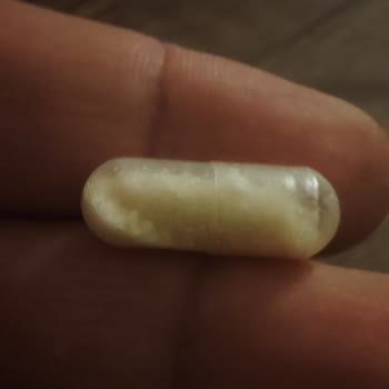 RC Farma İlaç RC Farma Newvit Probiyotik