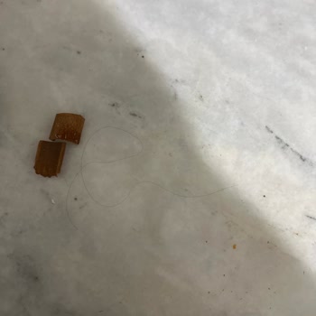 BİM Greenwood Kış Çayı