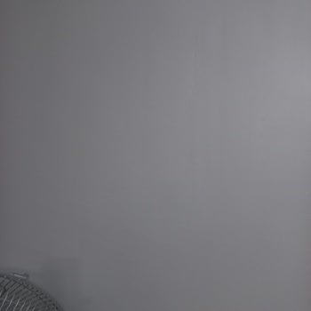 Marshall Tercih Ettik Mağdur Olduk