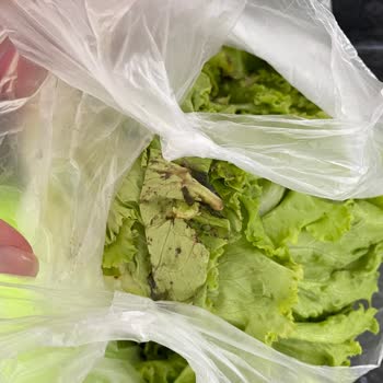 Migros Sanal Market Kötü Ve Eksik Ürün Gönderiyor