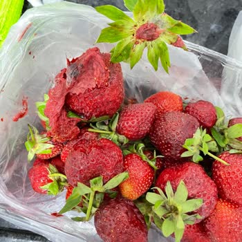 Migros Sanal Market Kötü Ve Eksik Ürün Gönderiyor