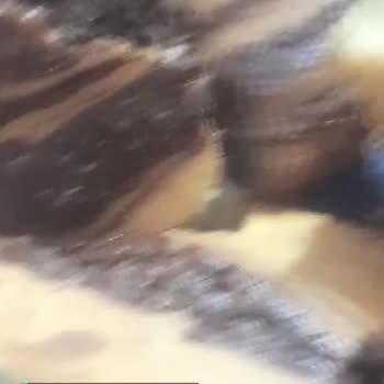 Beko Kek Pişirme Sorunu