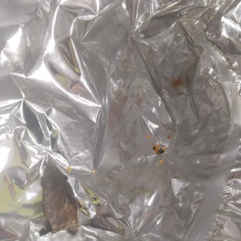 BİM Party Siyah Yanmış Cips