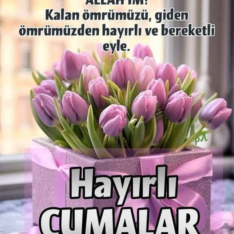 Telegram Hesabım Kapatılsın İsterim