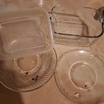 Finish Sıvı Bulaşık Deterjanı Bulaşık Lekelerini Çıkartmıyor