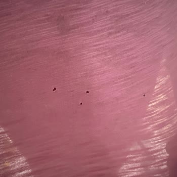 Bosch Kurutma Makinesi Pişmanlığı