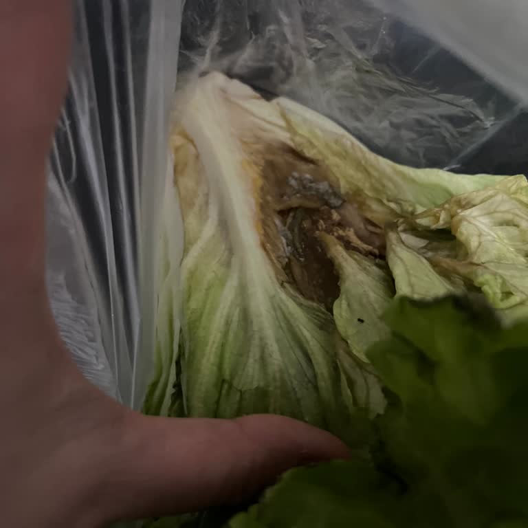 Migros'un Çürük Küflü Ürünleri
