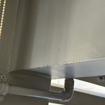 Özgül Temizlik (Kocaeli) Temizlik Hizmetinde Yaşanan Sorunlar