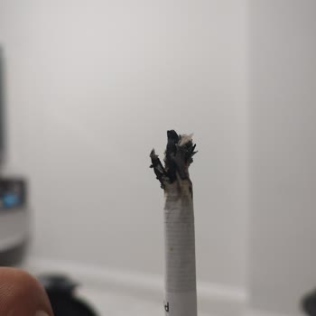 Parliament Night Blue