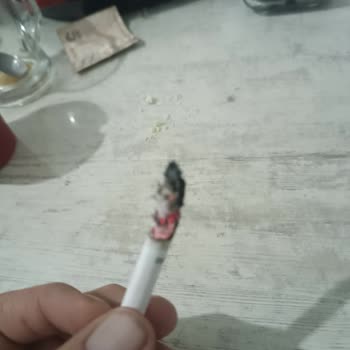 Philip Morris Kalitesiz Sigara Ürünü