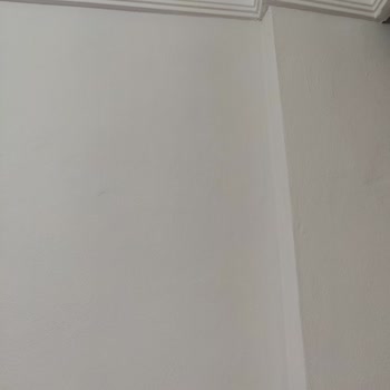Marshall Sabun Köpüğü Rengi Lila Çıktı