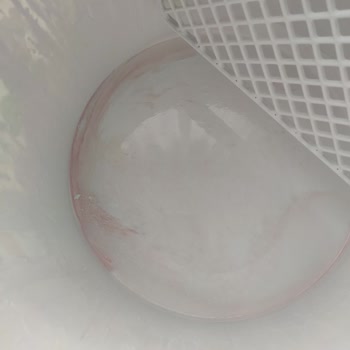 Marshall Sabun Köpüğü Rengi Lila Çıktı