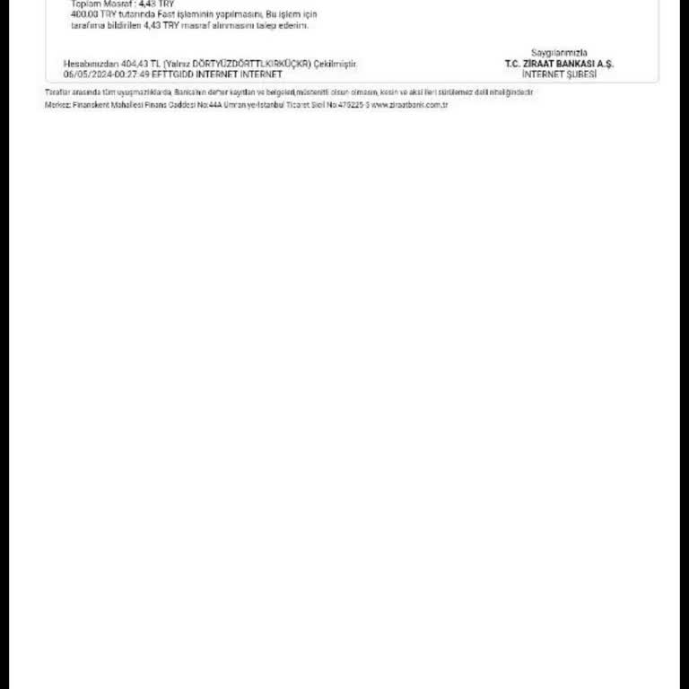 Ozan Elektronik Para Havale İşlemim Hesabımda Görünmüyor