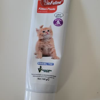 BioFeline Kedim Yeni Formülü Reddetti: Sevilen Tadın Değişim Hayal Kırıklığı