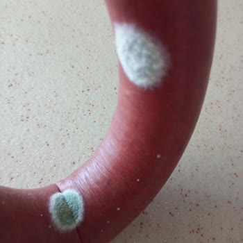 Namet Sucuk Küflü Çıktı!