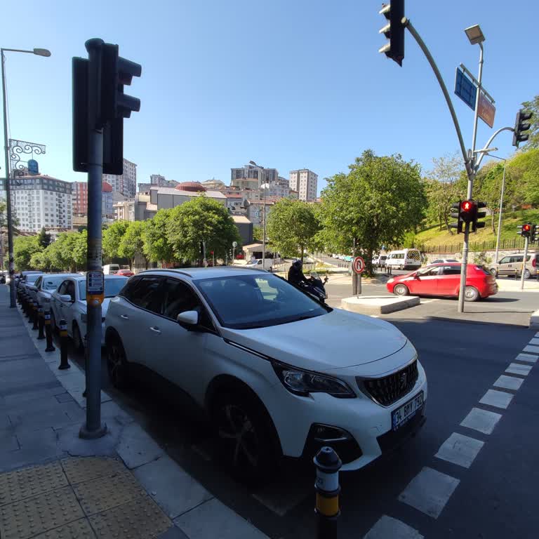 Peugeot Hatalı Park Yapımı
