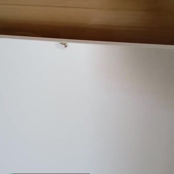 Koçtaş Masa Özürlü, Köşesi Kırık, Çatlamış