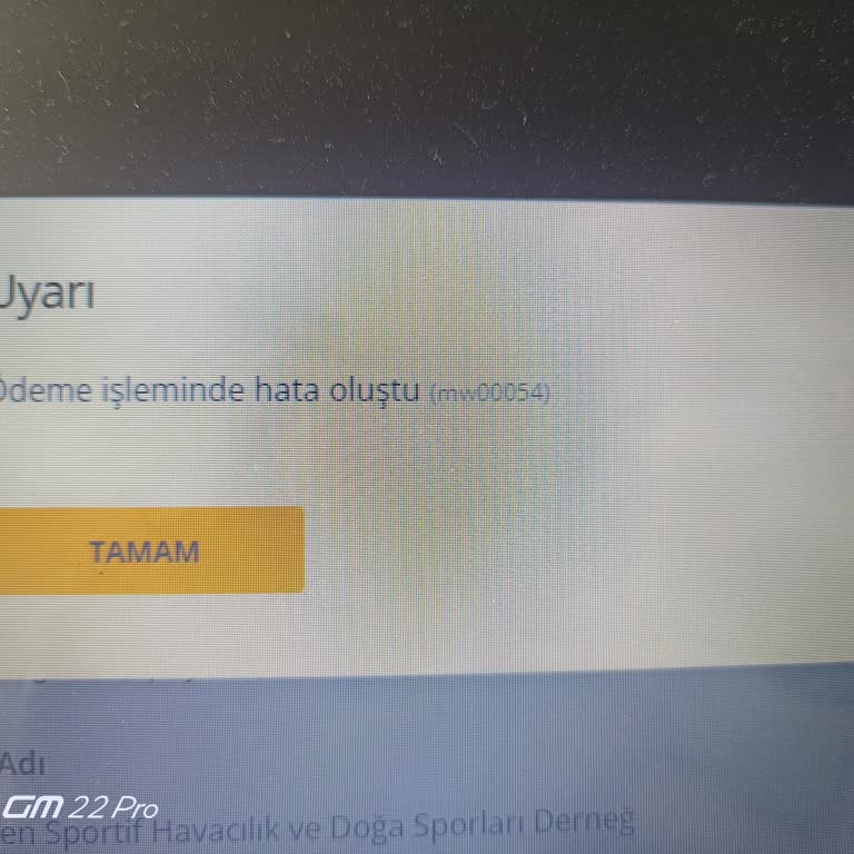 Pegasus'un İçinden Çıkamadığı Sorun.