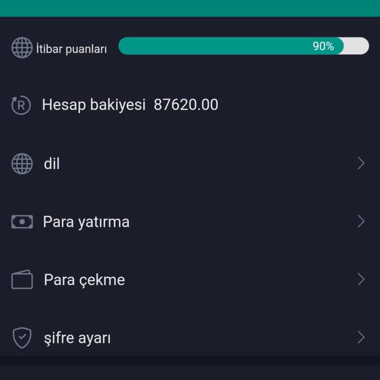 Okx8x.org Puan Durumuna Çözüm!