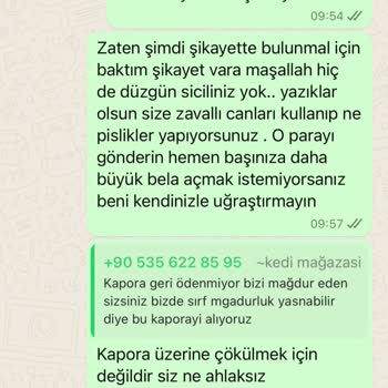 Fulya Kedi Köpek Mağazası Mağaza Deneyimimiz Hayal Kırıklığına Dönüştü