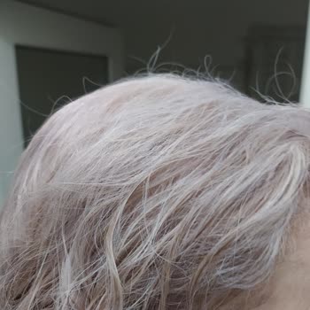 Palette 12-21 Gümüş Sarı Saç Boyası Saçı Pembe Yaptı.